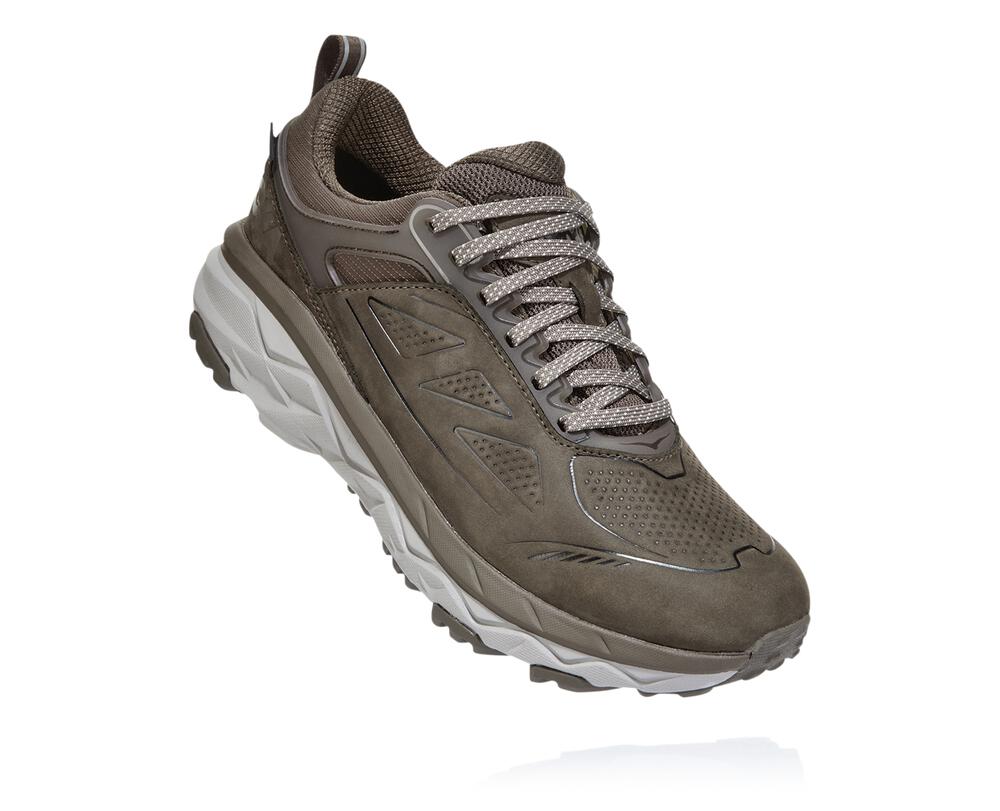 Hoka One One Challenger Low Gore-tex Ženske Tekaški Čevlji Rjava SI-178539J